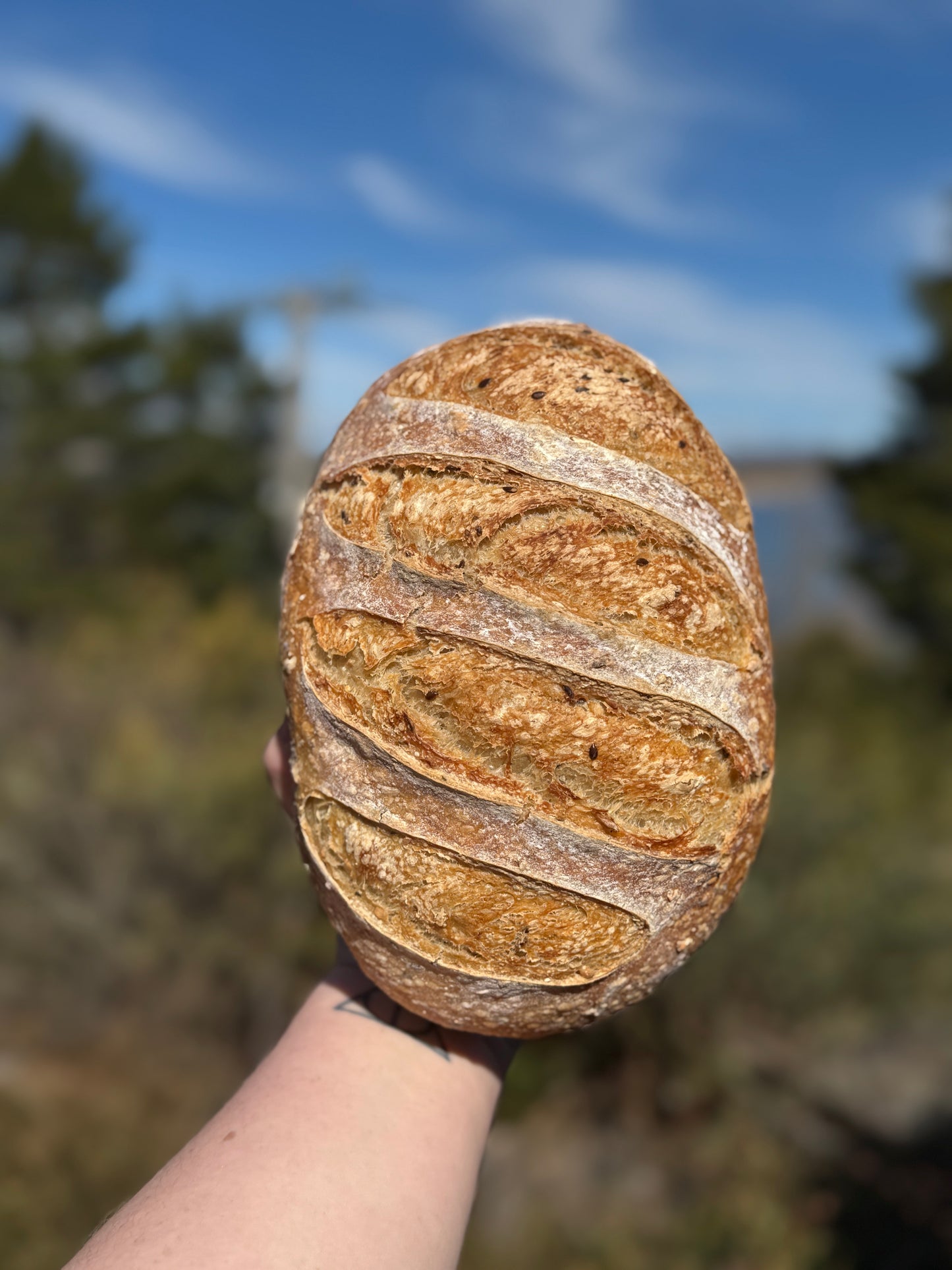 Multigrain Sourdough Loaf