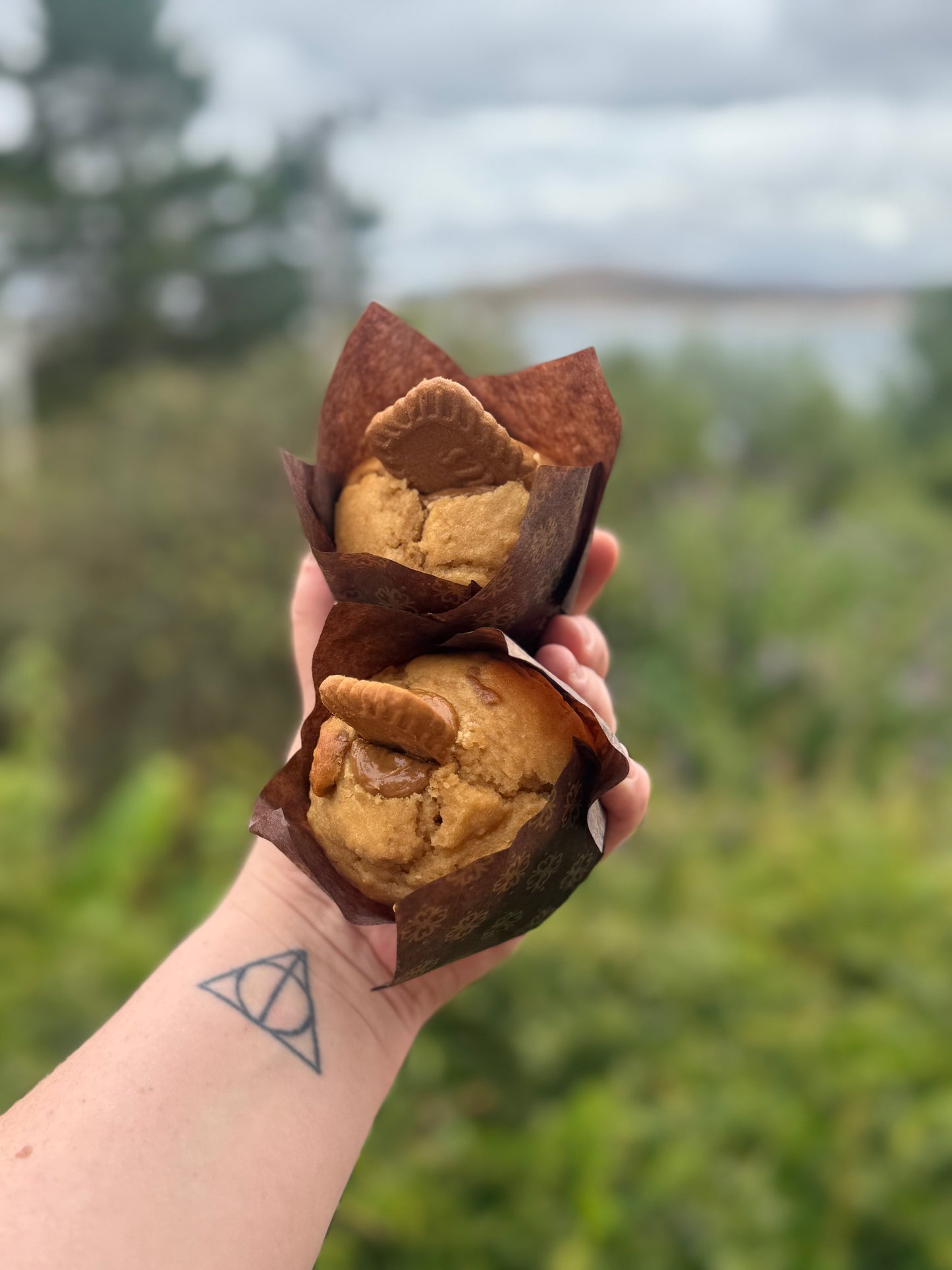 Sweet Sourdough Muffins