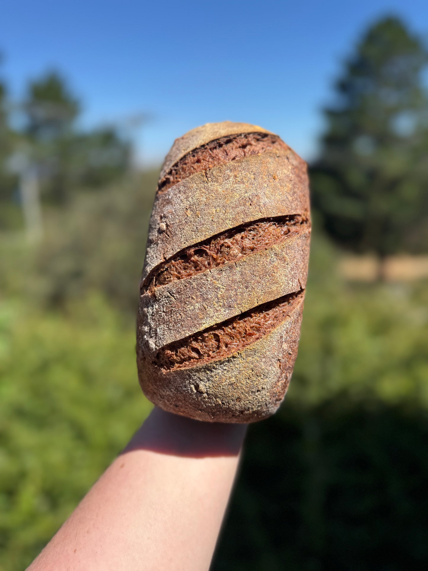 Black Sourdough
