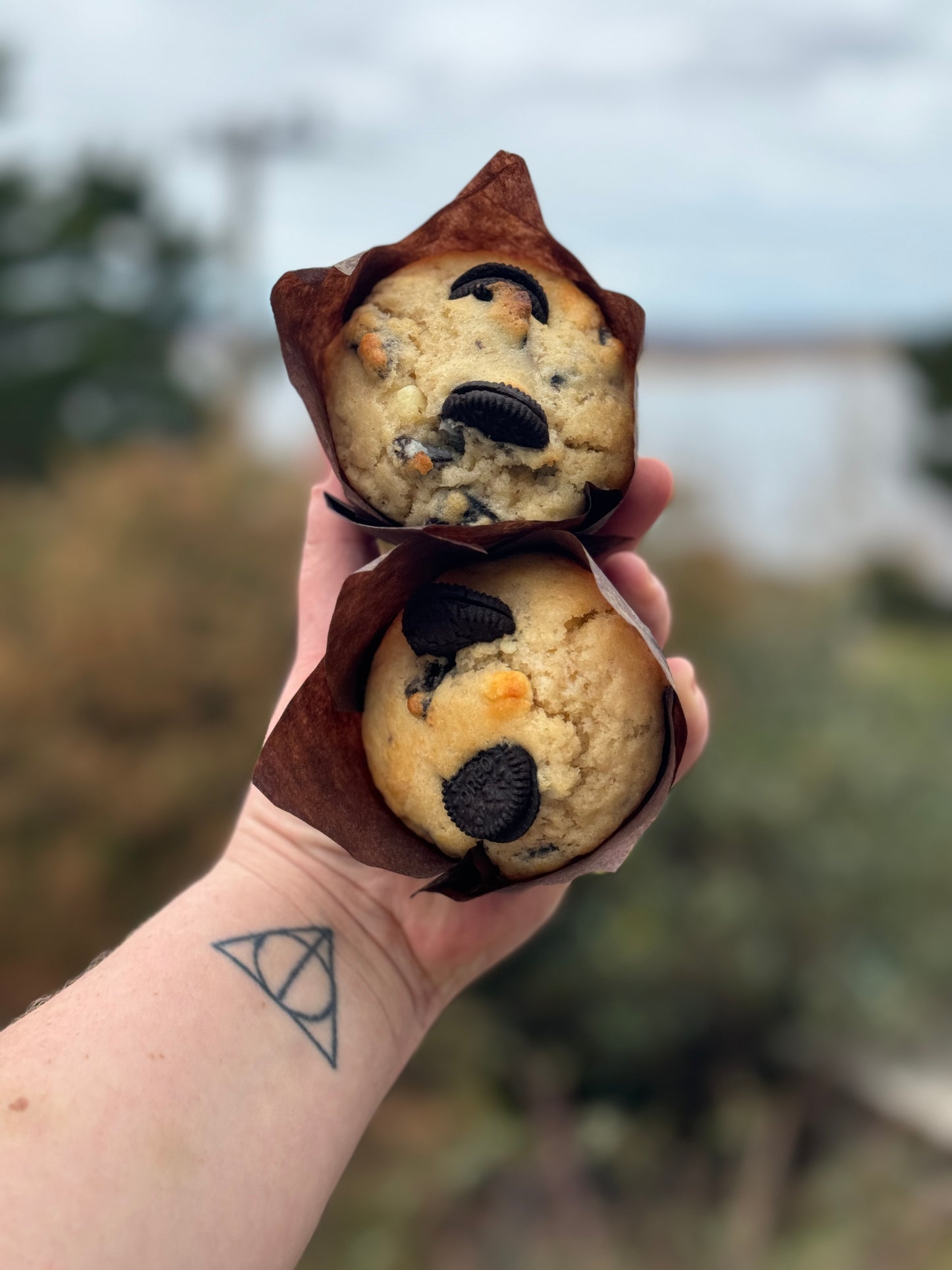 Sweet Sourdough Muffins