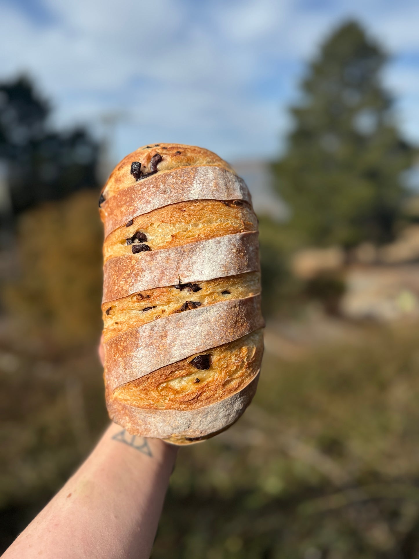 Roast Garlic, Olive & Rosemary Sourdough Loaf