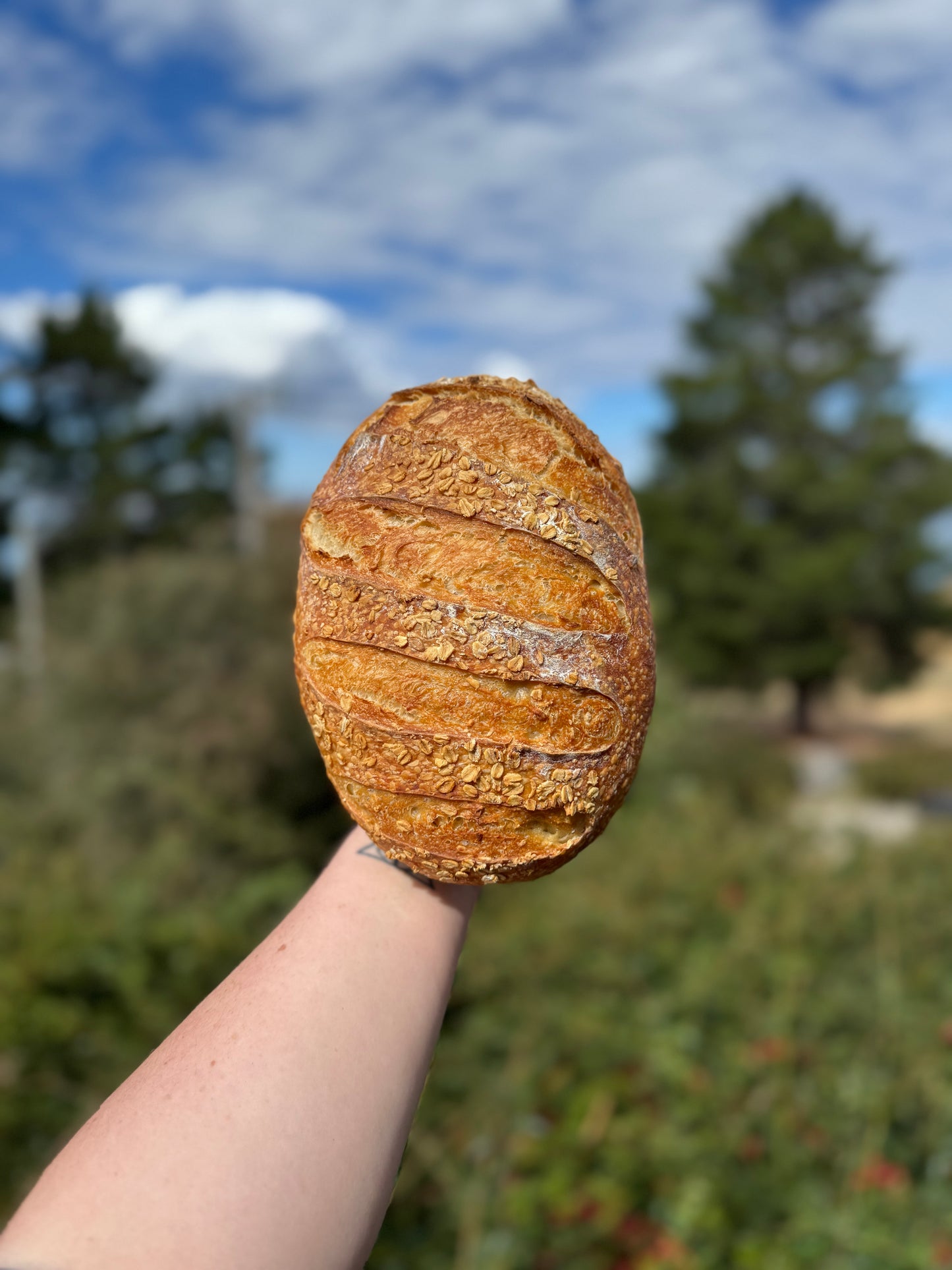 Oat Sourdough Loaf