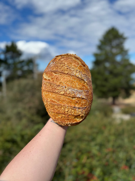 Oat Sourdough Loaf