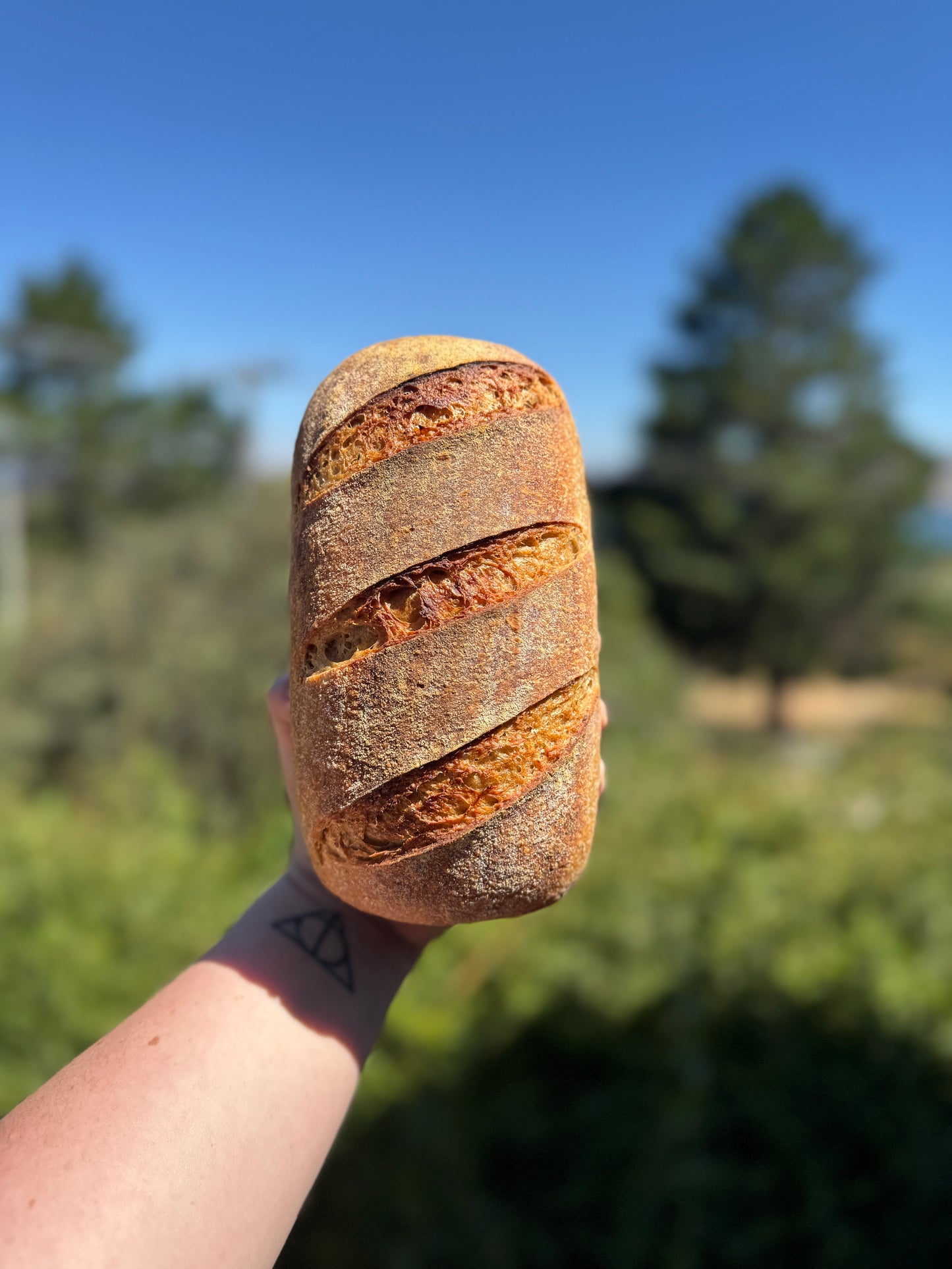 Rye Sourdough