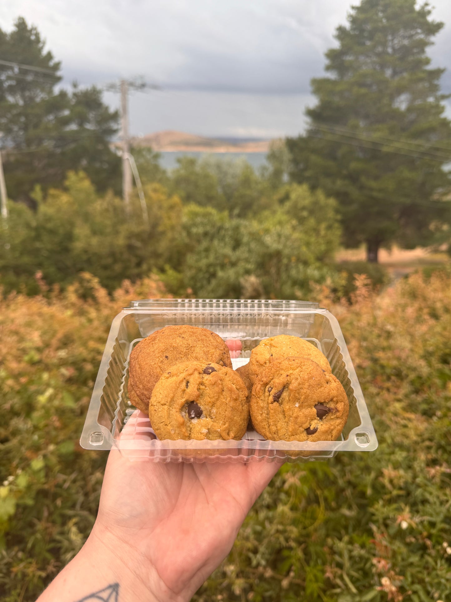 Brown Butter Chocolate Chip Cookies