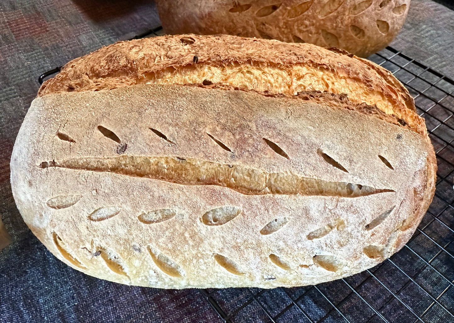 Multigrain Sourdough Loaf