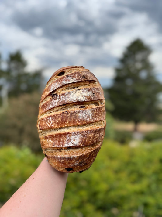 Raisin Sourdough Loaf