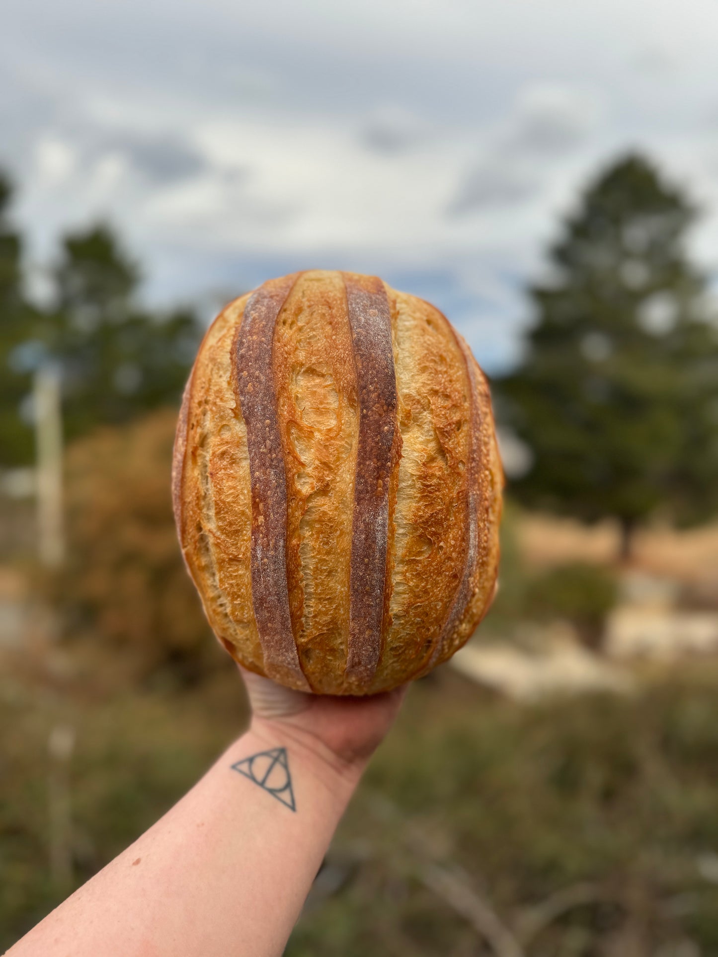 White Sourdough Loaf