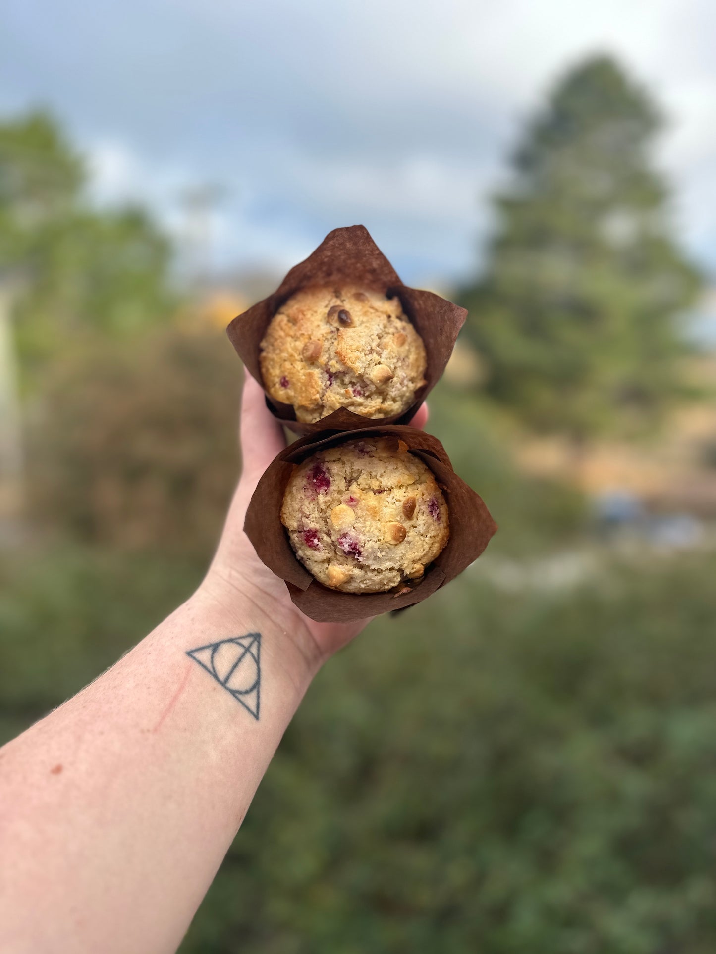 Sweet Sourdough Muffins