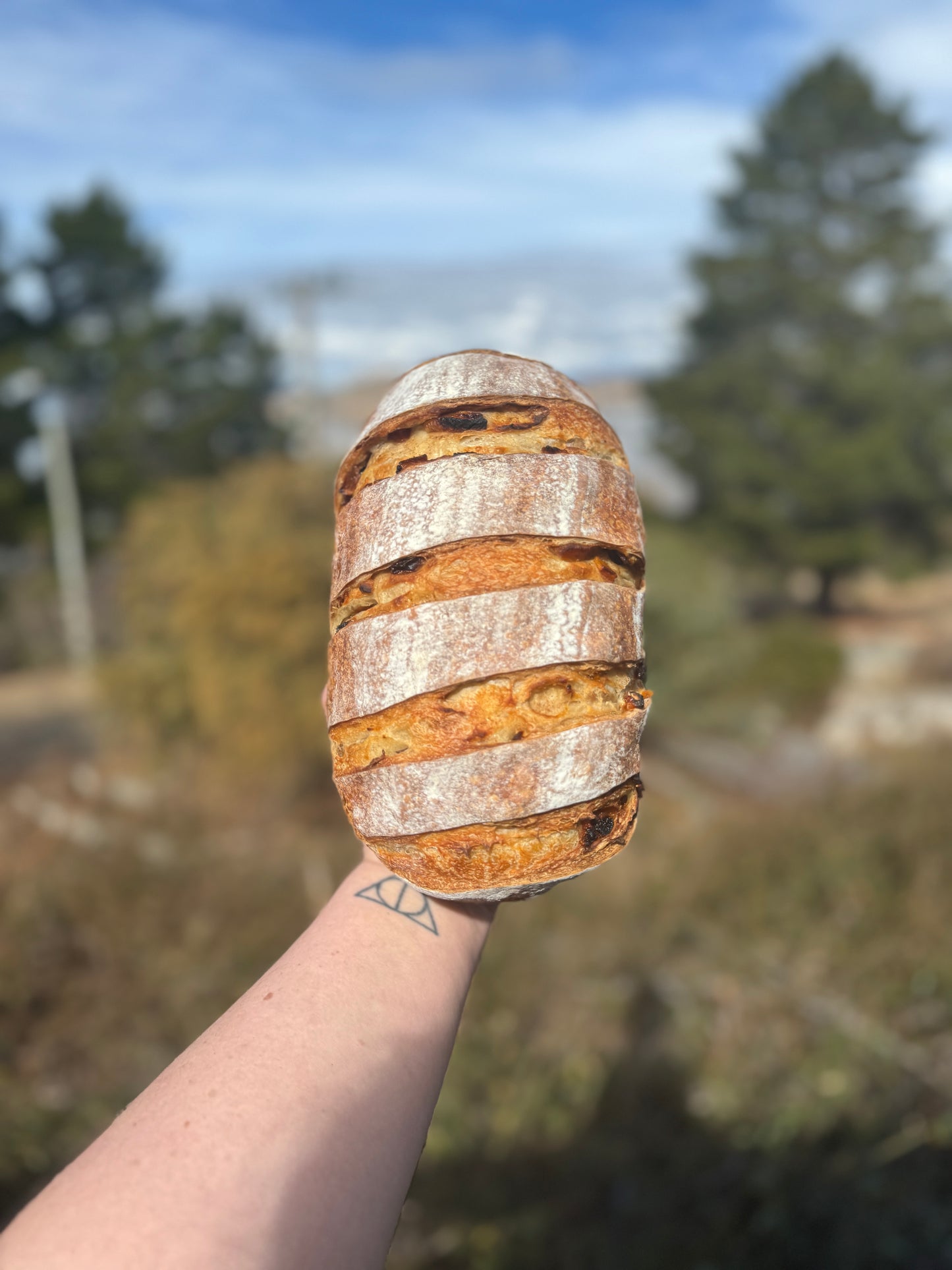 Fruit Sourdough Loaf