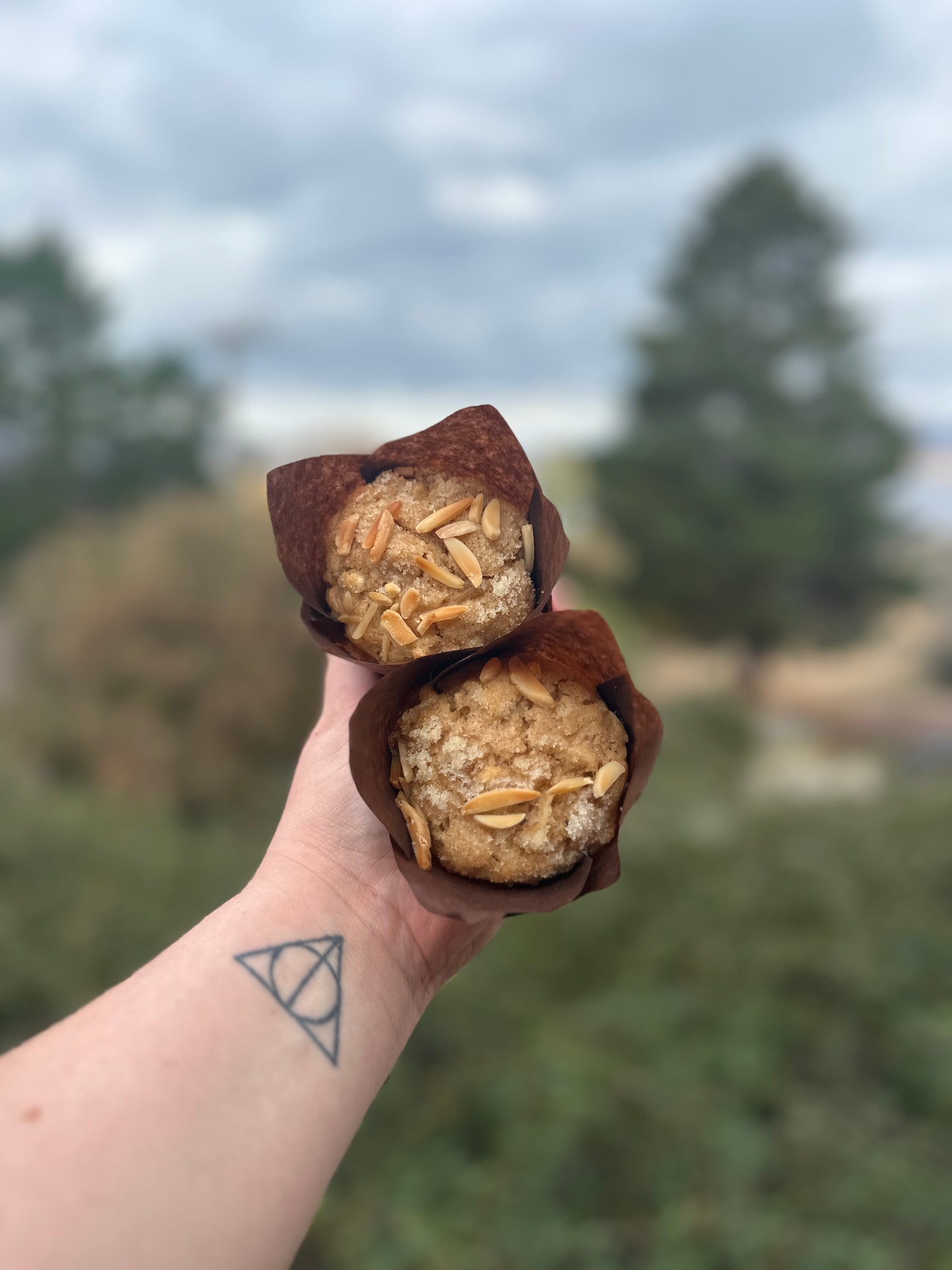 Sweet Sourdough Muffins