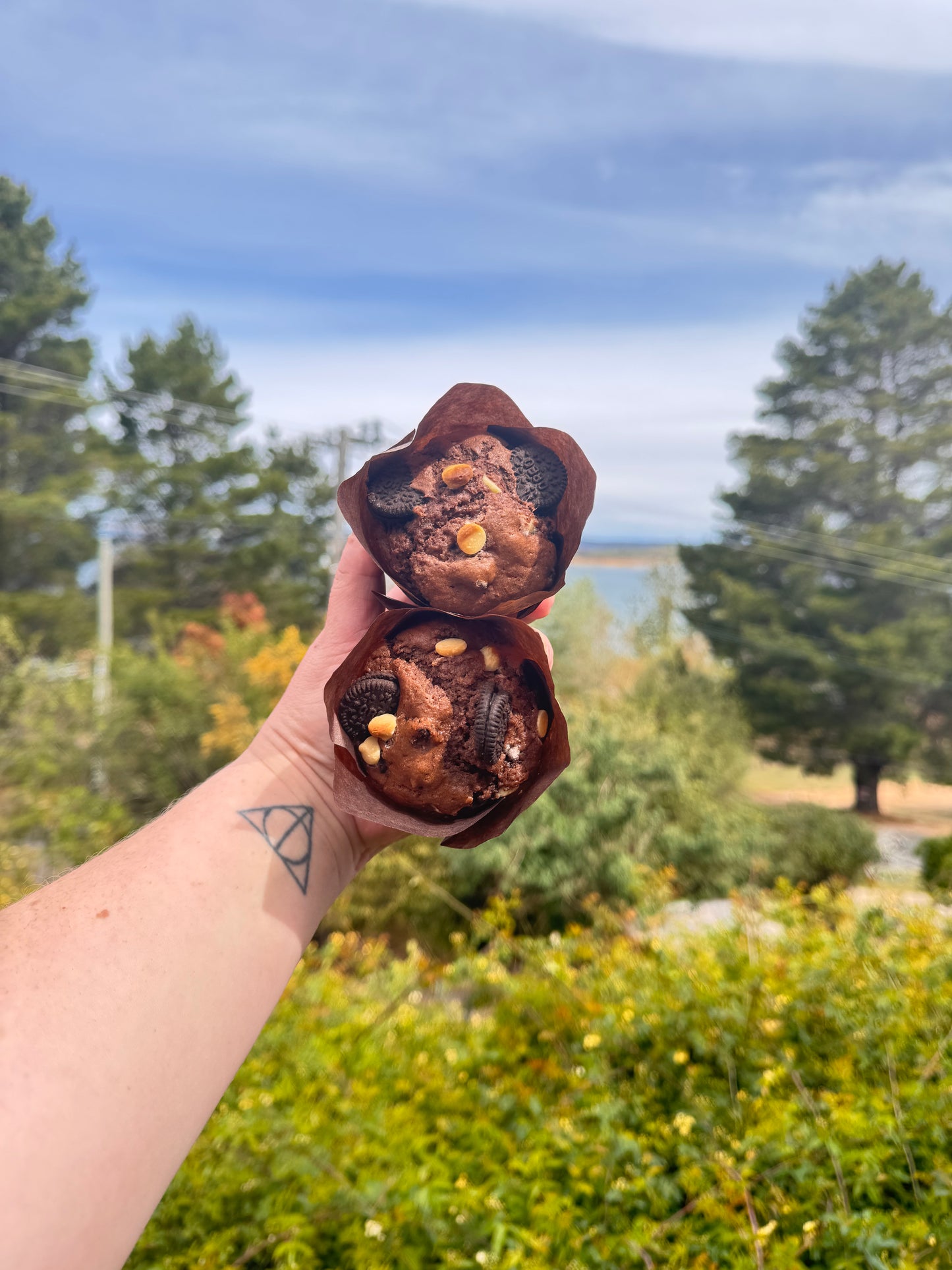 Sweet Sourdough Muffins