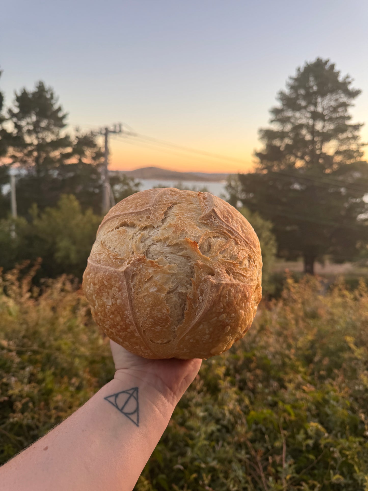 White Sourdough Loaf