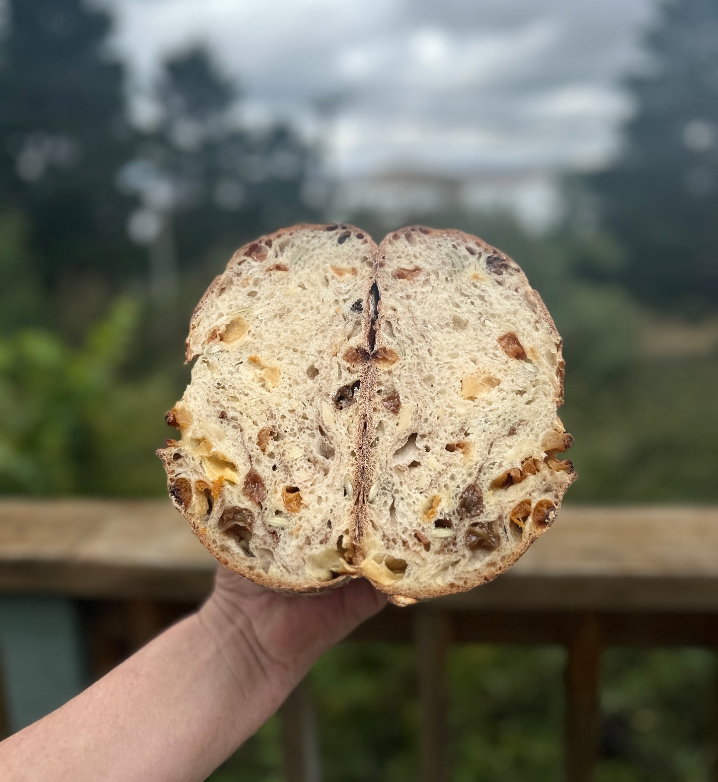 Fruit & Nut Sourdough Loaf