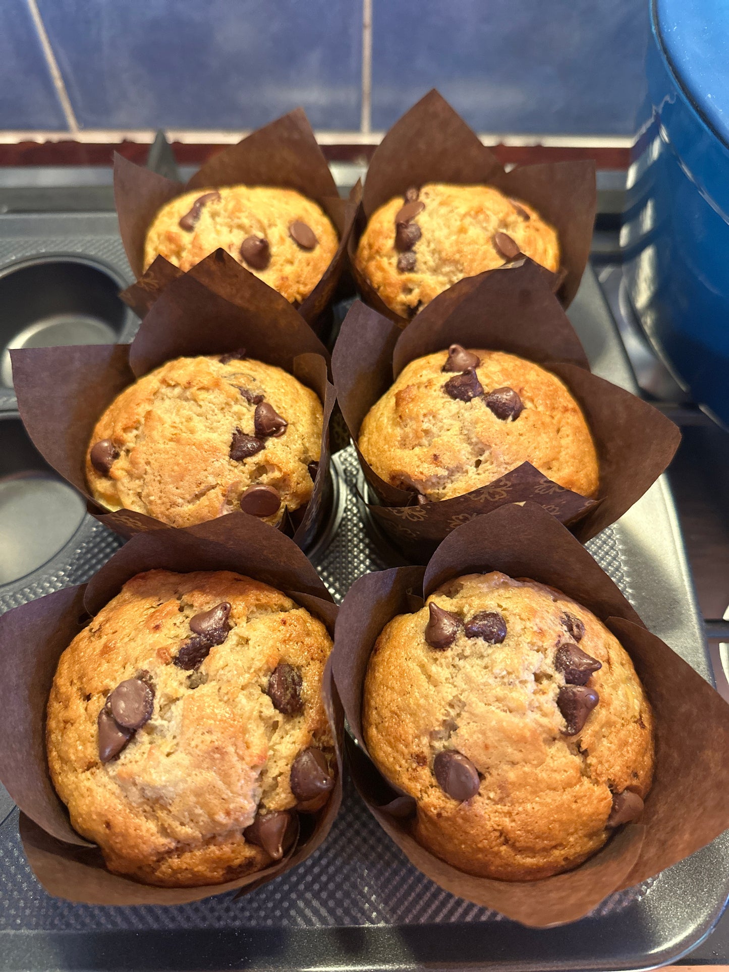 Sweet Sourdough Muffins